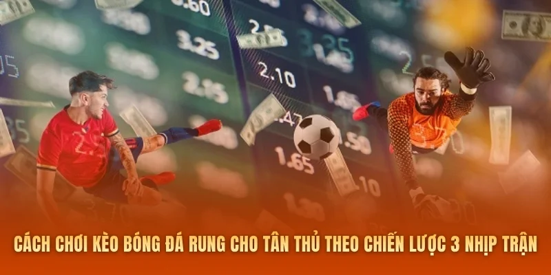 Cách chơi kèo bóng đá rung cho tân thủ theo chiến lược 3 nhịp trận