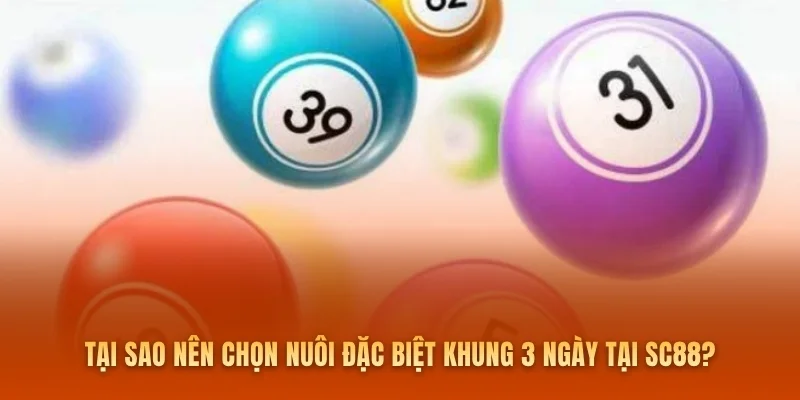 Tại sao nên chọn nuôi đặc biệt khung 3 ngày tại SC88?
