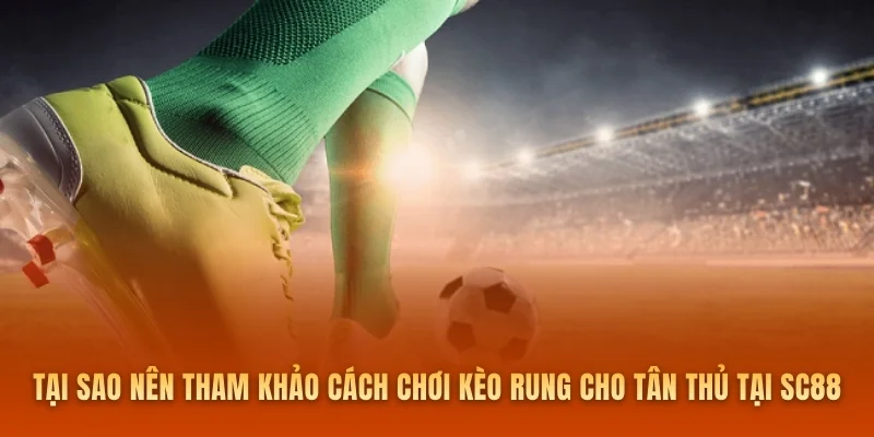 Tại sao nên tham khảo cách chơi kèo rung cho tân thủ tại SC88