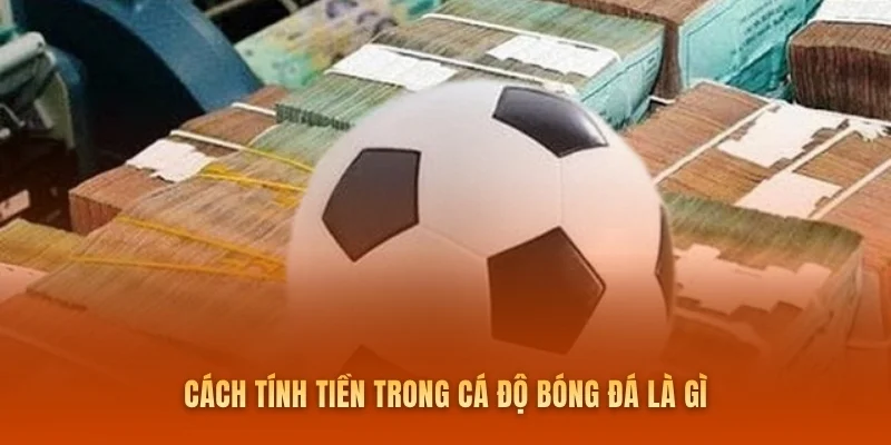 Cách tính tiền trong cá độ bóng đá là gì
