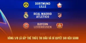 Vòng 1/8 Là Gì? Thể Thức Thi Đấu Và Bí Quyết Soi Kèo SC88