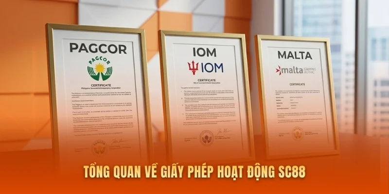 Tổng quan về giấy phép hoạt động SC88